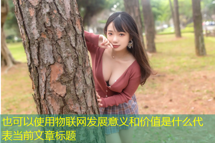 物联网发展意义和价值是什么
