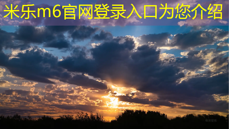 <strong>米乐m6官网登录入口：塑胶跑道手持摊铺机</strong>