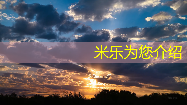 <strong>米乐：丹东塑胶跑道企业</strong>